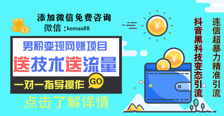 网站怎样在百度贴吧做广告引流_微信病毒引流网站源码_网站引流