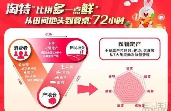 富网店拼多多vip教程_拼多多教程_拼多多发布宝贝教程