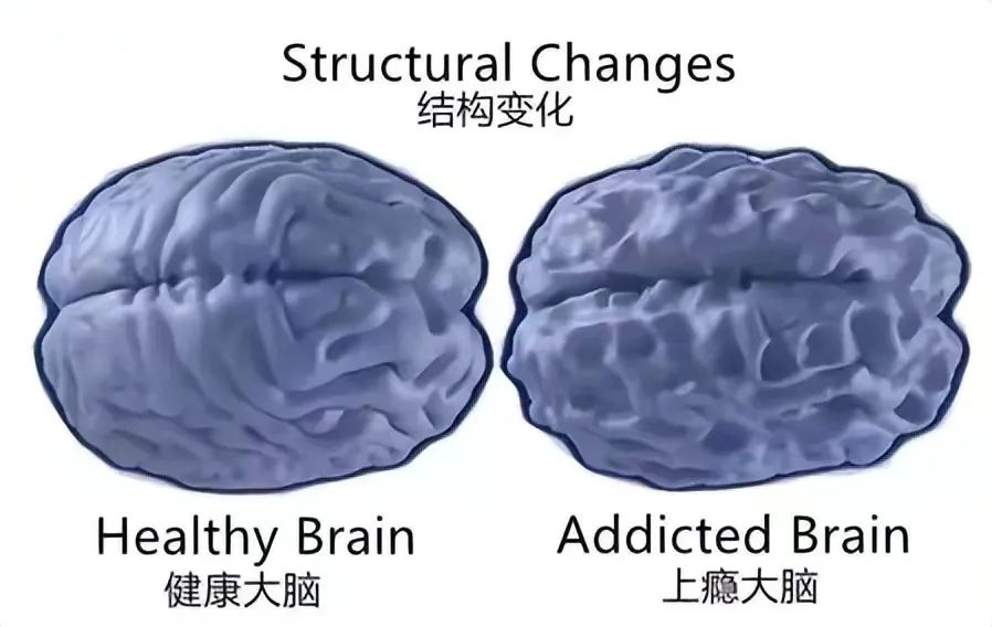 小龙女发短视频求助 视频_短视频_宋丹丹短视频短