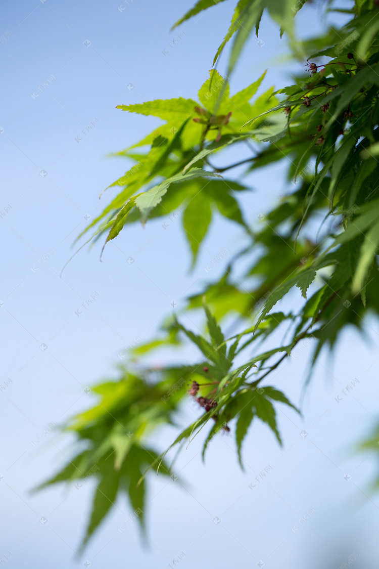 拍摄技巧|_婚纱拍摄谈单技巧_尼康d800拍摄晚会的技巧