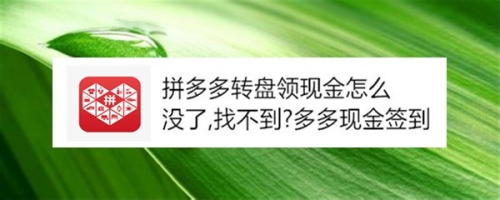 义乌拼多多代运营哪家好_拼多多运营_拼多多商家运营