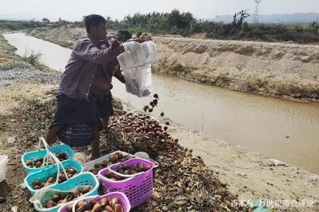 拼多多运营_拼多多运营年终总结_拼多多运营教程