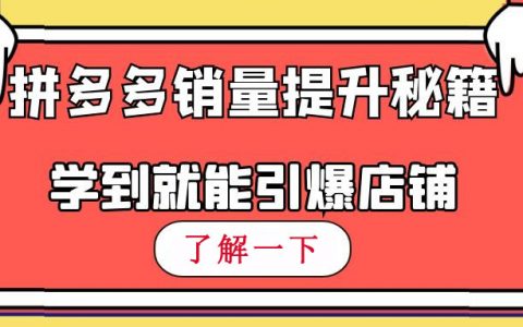 拼多多运营年终总结_拼多多商家运营_拼多多运营