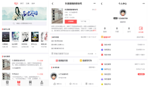 小说聚合网站系统源码 带会员收费机制-副业吧创业