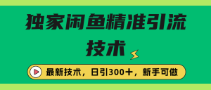 独家闲鱼引流技术，日引300＋实战玩法-副业吧创业