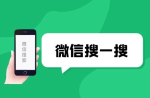 免费分享微信搜一搜霸屏引流技术-副业吧创业