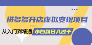 拼多多开店虚拟变现项目：入门到精通 从小白到日入1000（完整版）-副业吧创业