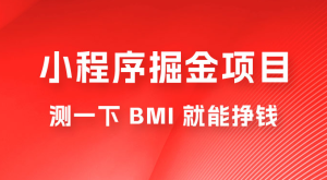 日入 300+ 的小程序掘金项目，测一下 BMI 就能挣钱-副业吧创业