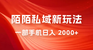 暴力项目，陌陌私域新玩法：一部手机日入 2000+ 很轻松-副业吧创业