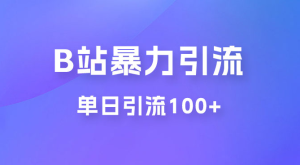 B 站暴力引流新玩法，单日引流 100+-副业吧创业