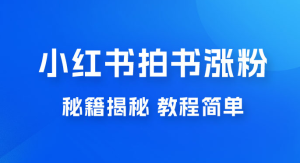 小红书拍书涨粉秘籍揭秘，教程简单，快速涨粉轻松变现-副业吧创业