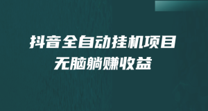 抖音全自动挂机，单号一天50-180＋，纯躺赚不用任何操作(抖音自动挂机软件下载)-副业吧创业