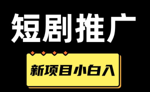 短剧，小说推广新玩法，一款神器全搞定，小白轻松日入200+-副业吧创业