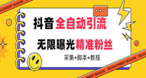 【最新技术】抖音全自动暴力引流全行业精准粉技术【软件+教程】-副业吧创业