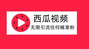 西瓜视频无限引流任何精准粉 App 脚本，解放双手全自动执行-副业吧创业