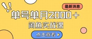 咸鱼虚拟资料新模式，月入2w＋，可批量复制，单号一天50-60没问题 多号多撸-副业吧创业