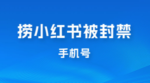 捞小红书被封禁手机号，小红书被封号禁言账号手机换绑-副业吧创业