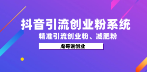 利用dy获客系统，精准引流创业粉、减肥粉-副业吧创业