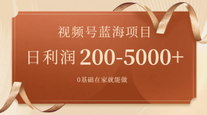 视频号蓝海项目，0基础在家也能做，日入200-5000+【附266G资料】-副业吧创业