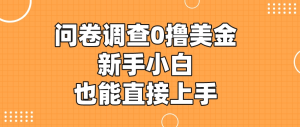 国内可做的国外问卷调查，0撸美金，新手小白也能直接上手-副业吧创业