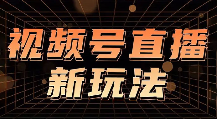 视频号直播新项目，通过简单的人货场，狂撸自然流，日入 500+（附 260G 教程）-副业吧创业