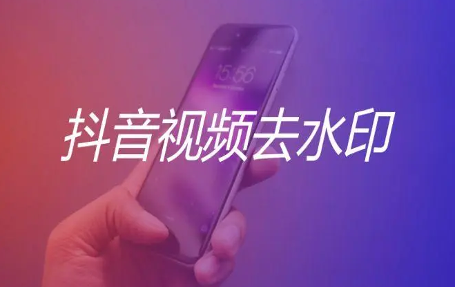 抖音去水印PHP源码 非第三方接口-副业吧创业