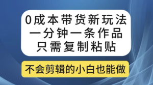 0成本带货新玩法，一分钟一条作品，只需复制粘贴就可以做-副业吧创业