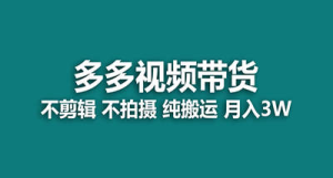 【蓝海项目】多多视频带货，纯搬运一个月搞了5w佣金，小白也能操作【揭秘】-副业吧创业