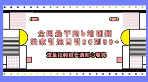 全网最干的 B 站视频独家引流，日引 50~80+ 流量-副业吧创业