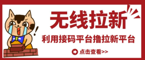 拉新必备，稳定接码平台，虚卡实卡1码低至0.12元-副业吧创业