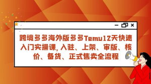 拼多多海外版 Temu 跨境电商 12 天快速入门实战课，从入驻上架到正式售卖全流程-副业吧创业