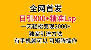 日引 800+ 精准老色批，一天变现 2000+，独家引流方法，可矩阵操作，月入 5W+-副业吧创业