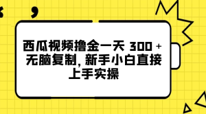 西瓜视频撸金一天 300＋，无脑复制，新手小白直接上手实操-副业吧创业