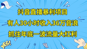 抖音直播暴利项目，有人 30 小时收入 36 万音浪，公司宣传片年会视频制作，抓住年底一波流量大红利-副业吧创业