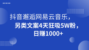 抖音邂逅网易云音乐，另类文案 4 天狂吸 5W 粉，日赚 1000+-副业吧创业