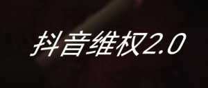 抖音维权2.0，外面收费1980的项目，不用下单购买商品，全新自研项目-副业吧创业