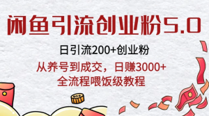 闲鱼引流创业粉5.0技术，日引200+创业粉，从养号到成交，日赚3000+全流程喂饭级教程-副业吧创业