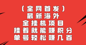 全网首发，最新海外全挂机项目，挂着就能赚积分，单号轻松赚几百-副业吧创业