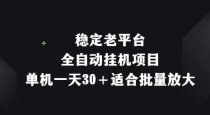 稳定老平台，全自动挂机项目，单机一天30＋适合批量放大-副业吧创业